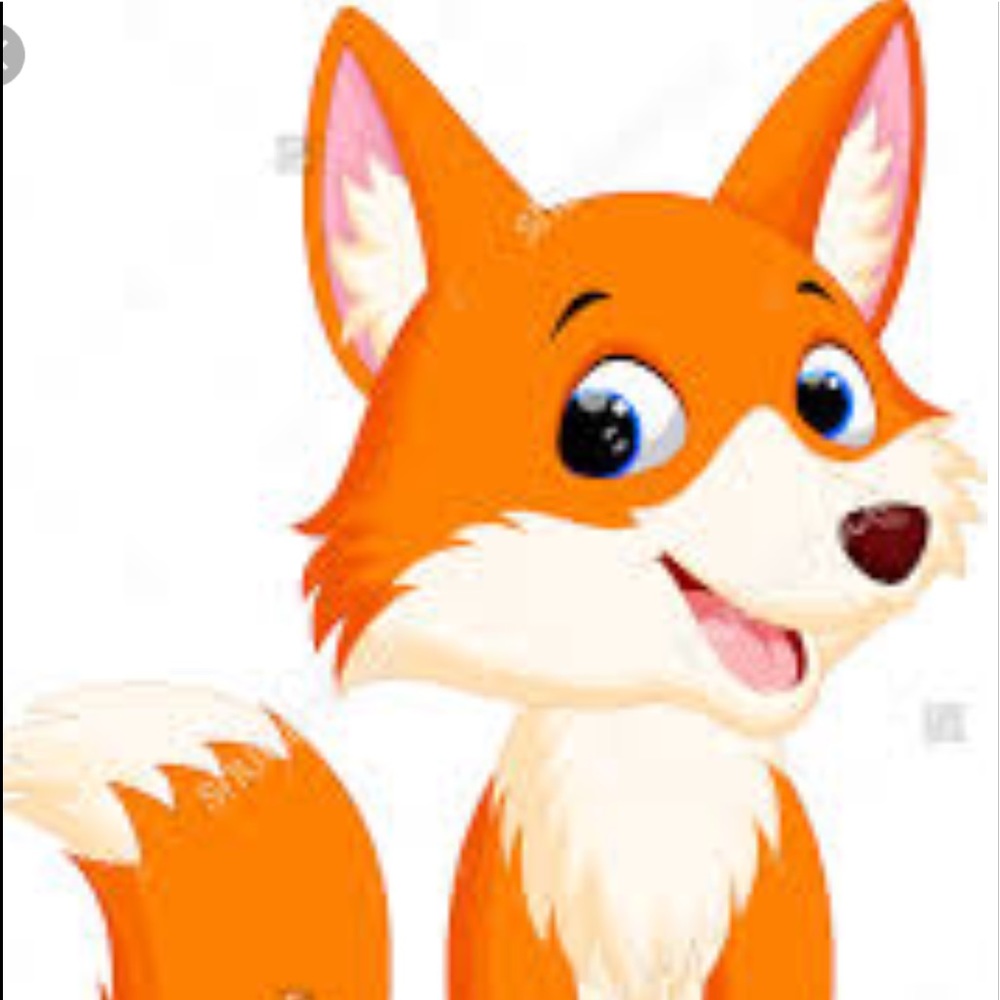 🦊Meet your Posher BETH STARR🦊!! - Picture 4 of 6